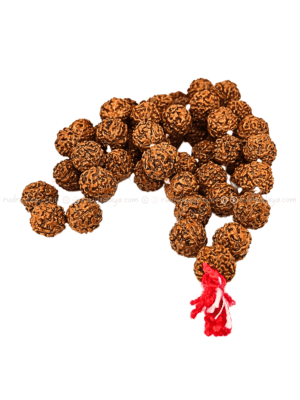 5 Mukhi Nepali Small Beads Jap Mala