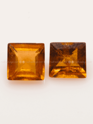 Garnet
