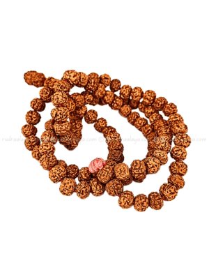 Jaap Mala 08 MM Jaap Mala 5 Mukhi Indonesia Pathari Dana (Chikna)