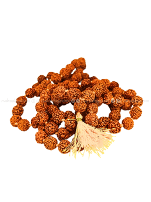 Jaap Mala 10 MM Jaap Mala 5 Mukhi Indonesia