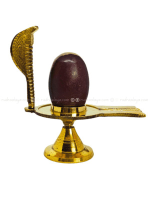 Narmadeshwar Natural Shivalingam (Banalingam) Twin Colour Ardhnarishwar with base and serpent