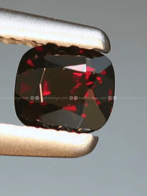 Natural Painite