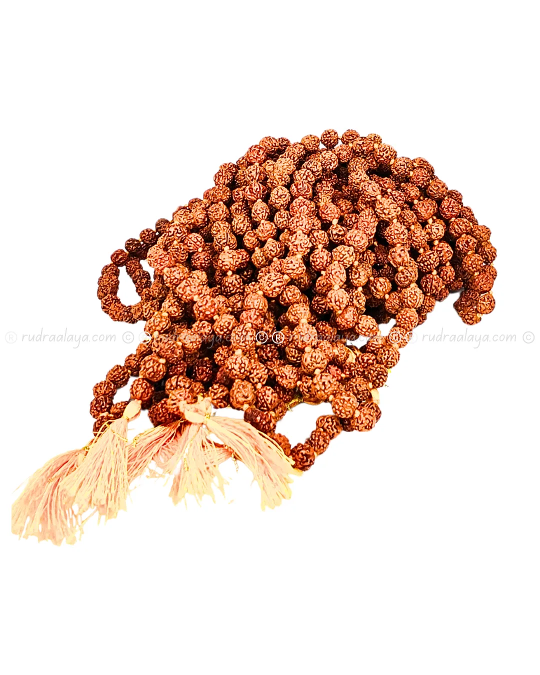 Jaap Mala 08 MM Jaap Mala 5 Mukhi Indonesia - Image 4