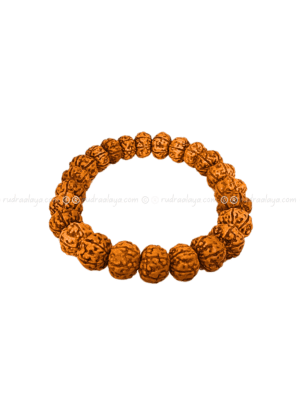 08 MM Rudraksha Hand Bracelet Five Mukhi (Panch Mukhi) Indonesian Pathri Dana (Chikna)