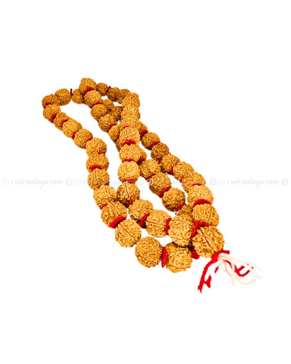 5 Mukhi Nepali Kantha Mala for Meditation (Kantha 55+1 beads)