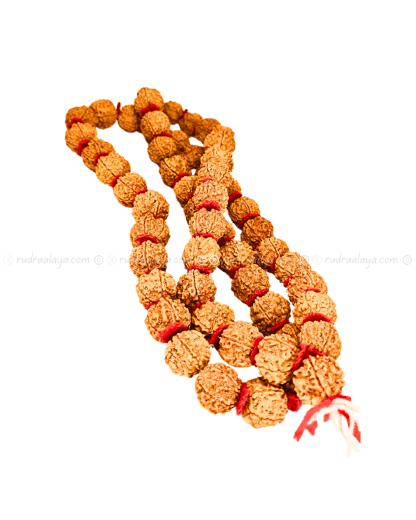 5 Mukhi Nepali Kantha Mala for Meditation (Kantha 55+1 beads) - Image 2
