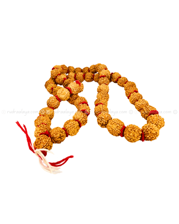 5 Mukhi Nepali Kantha Mala for Meditation (Kantha 55+1 beads) - Image 3