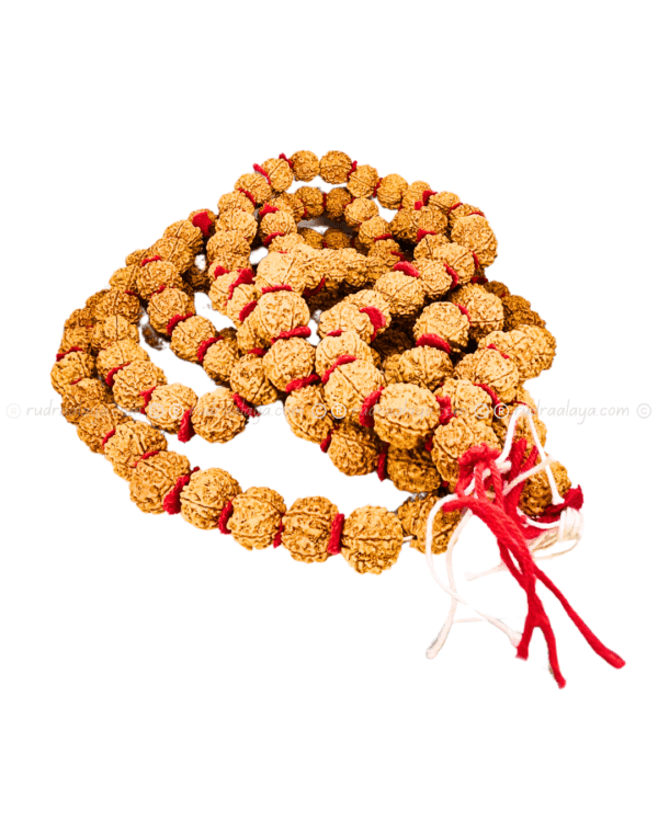 5 Mukhi Nepali Kantha Mala for Meditation (Kantha 55+1 beads) - Image 4