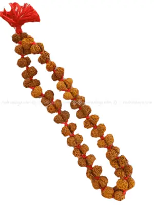 Custom Build Nepali Kantha Siddha Mala for Meditation (Sampoorna Siddha Mala 1- 14 Mukhi Nepali)